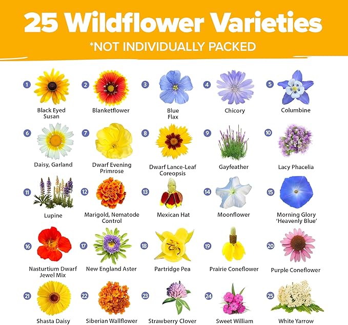 HOME GROWN USA Wildflower Seeds Bulk Mix | 44,000 Non-GMO Perennial Flower Seed for Full Sun & Shade | 19 Varieties for Butterfly & Pollinator Garden | 2 oz