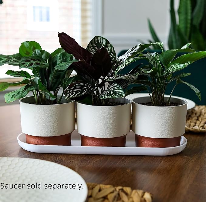The HC Companies 3 Inch Sprite Mini Succulent Pot - Small Plastic Planter with Drainage for Indoor Plants, Vanilla Bisque (20 Pack)