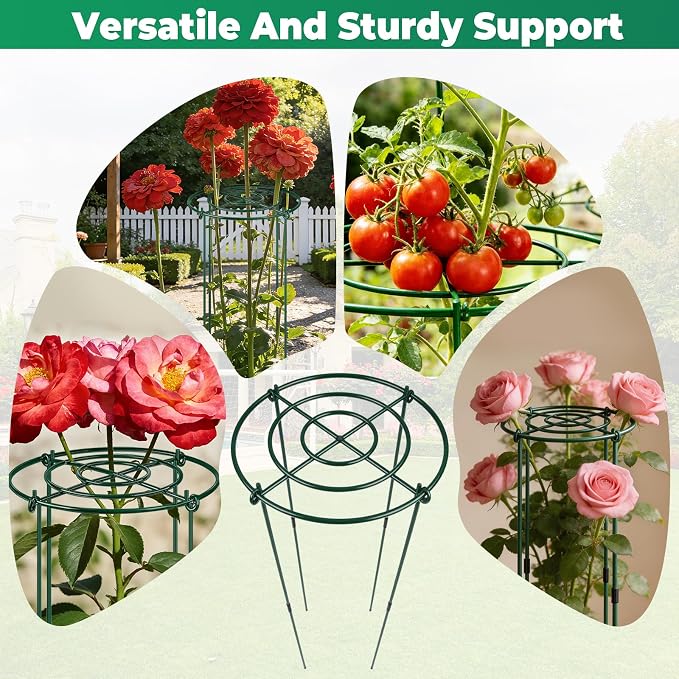 QwayHome 3Pack Peony Cages and Supports 33''H x 13''D Grow Through Large Plant Support, Adjustable High, Heavy Duty, Rust-Resistant, Round, Flower Support Cage Ring for Rose Tomato Hydrangea