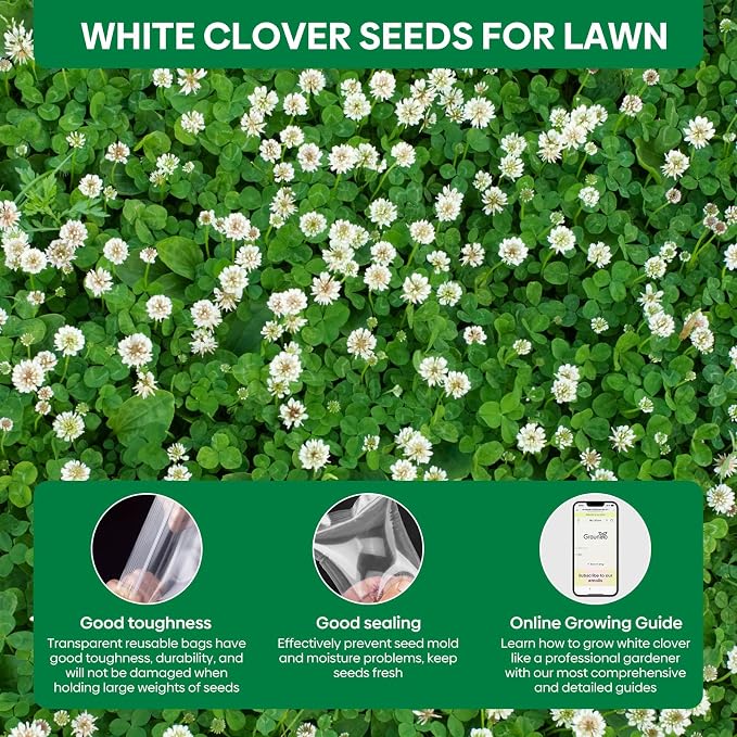 Groundio White Clover Seeds, 5 lbs, Perennial White Dutch Clover Seed for Lawn, Ground Cover, Nitrocoated and Inoculated, Attracts Pollinators(Trifolium Repens)
