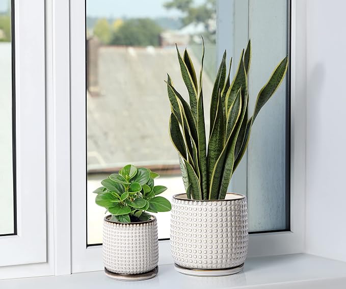 D'vine Dev 8 Inch Ceramic Beaded Stoneware Planter Pot - Flower Pot with Drainage Holes and Saucers for Indoor Succulent Plants or Flowers, Smoked White, 27-C-Q-1