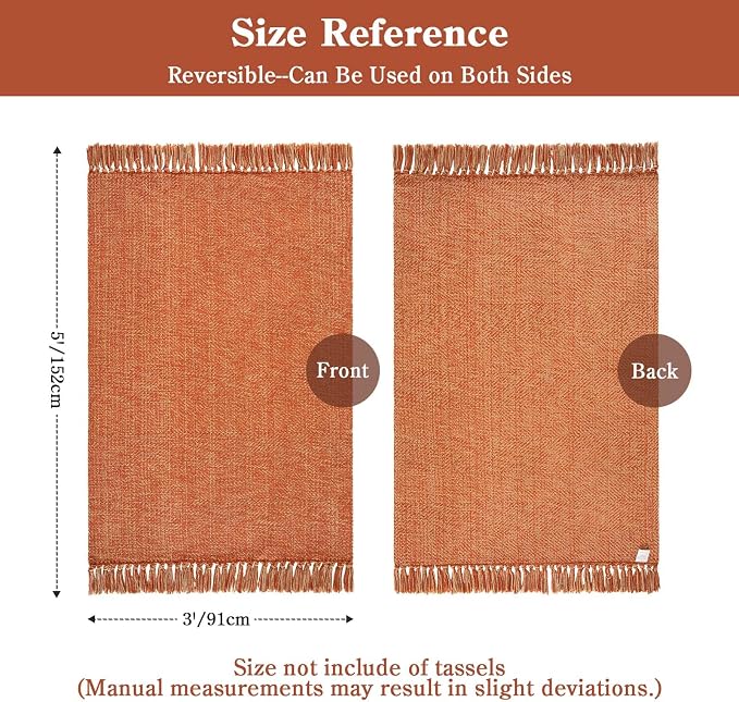 3' x 5' Fall Terracotta Indoor Outdoor Rug Farmhouse Entryway Rugs | Hand-Woven Washable Kitchen Rugs, Low-Profile Front Door Mat, Braided Throw Carpet for Bedside Nursery Porch Fall Decor