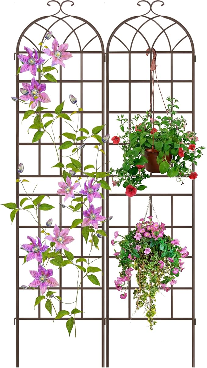 LZRS 2 Pack 83x20in Rustic Iron Arch Decoration Garden Trellis with Metal Coating – Perfect for Supporting Climbing Plants Outdoor, Roses, Vines, Flowers, and Vegetables, Brown
