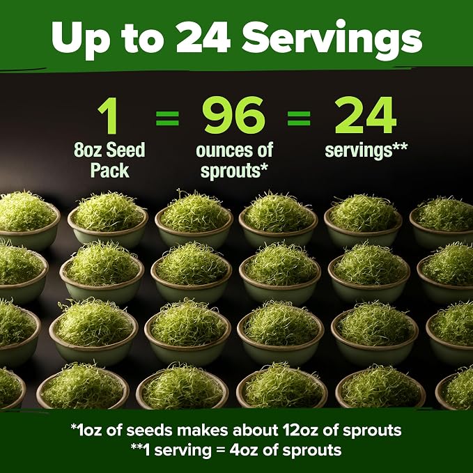 HOME GROWN Broccoli Seeds 8 oz Bulk Heirloom Non-GMO, High Germination, Sulforaphane Rich Sprouting Seeds, Nutritious Microgreens, Healthy Sprouts in 5 Days, Superfood Boost (Brassica oleracea)