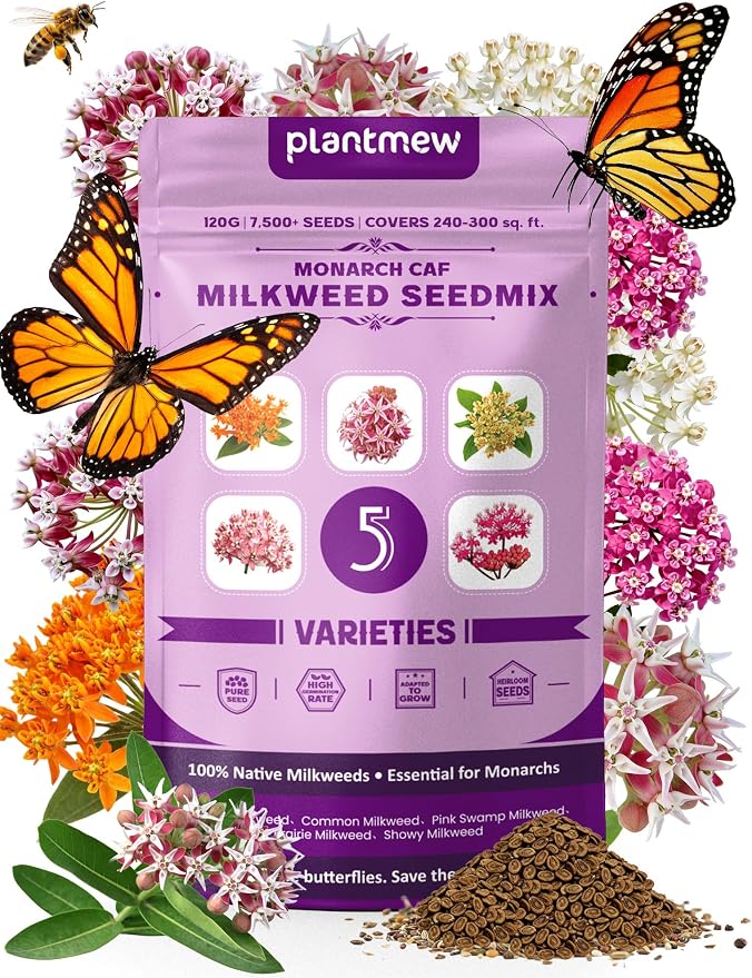 Wildflower Seeds – Monarch Cafe Milkweed Mix, 5 Heirloom Varieties 100% Native Milkweeds, 7,500+ Seeds (4oz) Covers 240-300 sq.ft., High Germination for Monarch Butterfly Garden