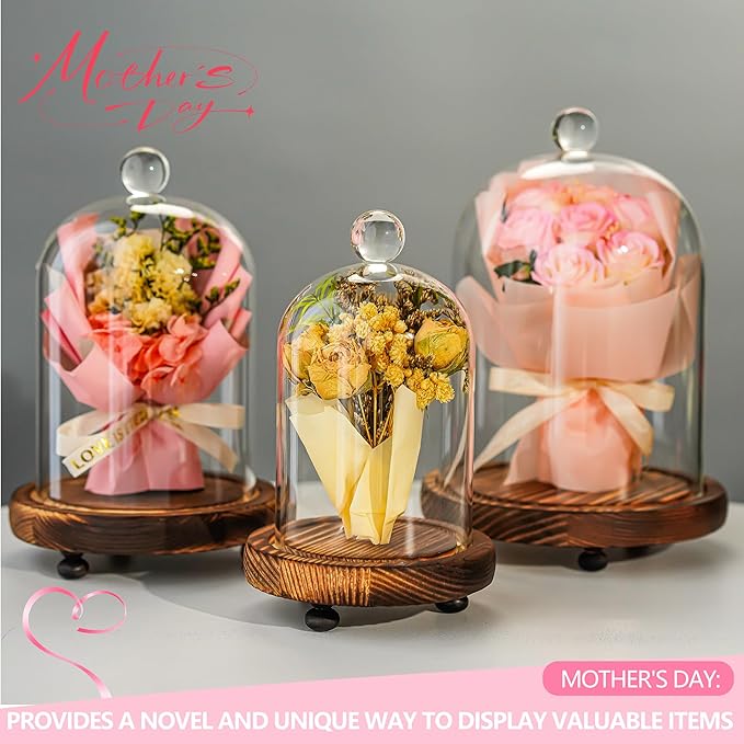 Set of 3 Decorative Glass Cloche Bell Jars with Wooden Bases, Assorted Sizes for Table Centerpieces, Seasonal Decorations and Home Accents