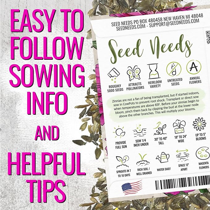 Seed Needs Zinnia Seeds Purple Prince Fast Blooming 5,000 Seeds Bulk Pack