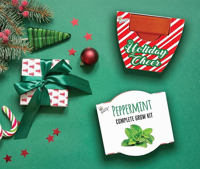 BUZZY Seeds Holiday Candy Cane Peppermint Grow Kit 6-Pack - Mini Terracotta Pot Grow Set - Complete Indoor Gardening Kit with Seeds, Coconut Husk Growing Medium & Genuine Pots - 100% Grow Guarantee