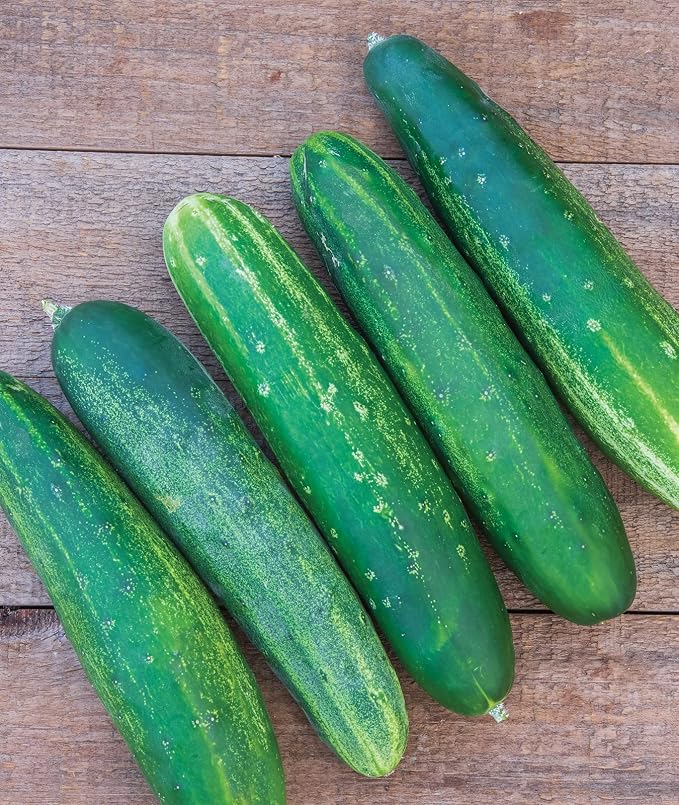 Burpee Straight Eight Slicing Cucumber 200 Seeds and Sweet Banana Sweet Pepper 150 Seeds