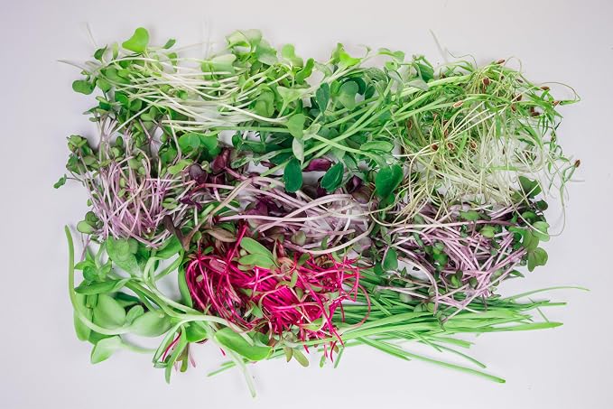 Indoor Garden, Fully Automated LED Growing Unit for Microgreens, Herbs, Leafy Greens, Organic Soil-Based, Low/No Maintenance, Easy, Standalone Unit, Designed & Assembled in The USA
