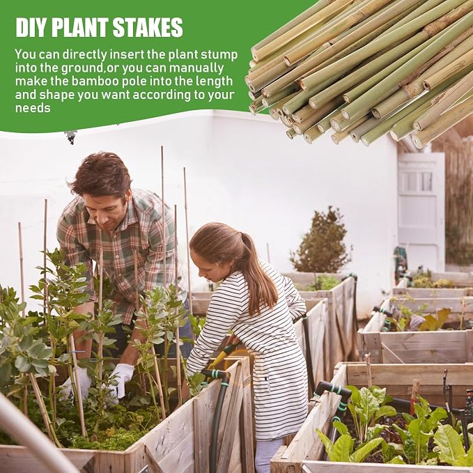 Suclain 30 Pcs Bamboo Plant Stakes Natural Garden Support Sticks for Climbing Plants Sturdy Bamboo Garden Stakes for Tomato, Beans, Flowers and Potted Plants, Vegetables, Indoor & Outdoor (1 ft)