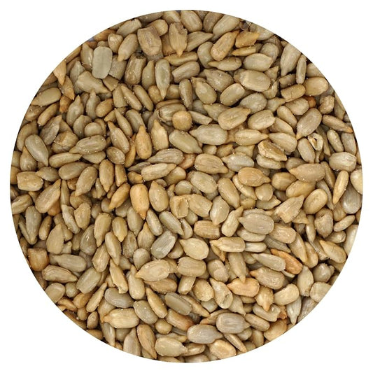 Sunflower Seeds Roasted and Salted, 1 Pound Bag, Sunflower Seeds No Shell, 16 Ounce Bulk Bag