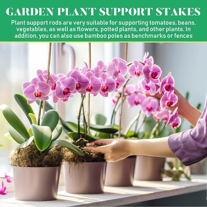 Suclain 100 Pcs Bamboo Plant Stakes Natural Garden Support Sticks for Climbing Plants Sturdy Bamboo Garden Stakes for Tomato, Beans, Flowers and Potted Plants, Vegetables, Indoor & Outdoor (3 ft)