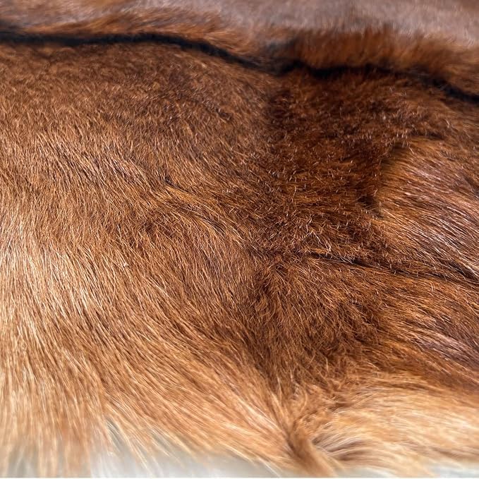 Red Deer Hide Rug Deerskin, 2.3x1.8 ft,Hunting Rug,Fawn Mat,Antelope Carpet | Deer Taxidermy Carpet, Fireplace Deerskin Decor, Fawn Print Rug,Reindeer Hide Area Rug, Animals Mat, Taxidermy Hunting Rug