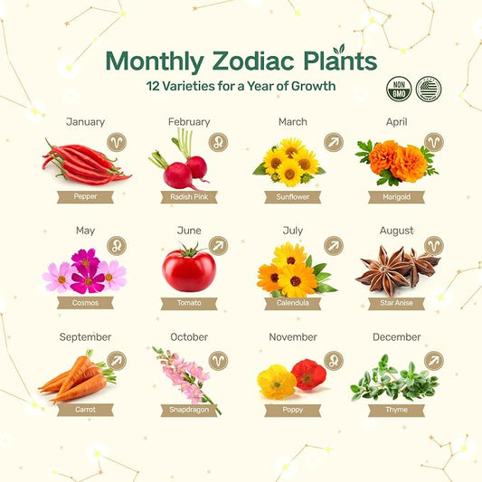 Lush&Dew Zodiac Garden Seed Bank Fire Signs, Gardening Gifts for Women Men | 12 Varieties USA-Sourced Non-GMO Heirloom Vegetable Flower Seed Kit, Handcraft Storage Box with Moon Calendar, USDA Zone 3-11