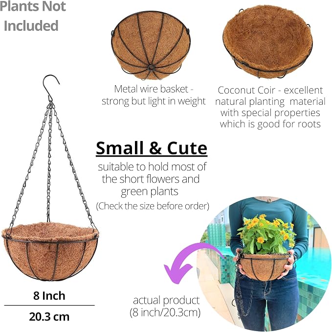 LaLaGreen Hanging Baskets (8 Inch, 10 Pack) Small Hanging Planter with Coco Liner Round Flower Pots, Black Outdoor Planters Basket Metal Wire Holder Hook Deck Porch Modern Garden Balcony Decorations
