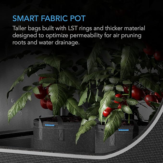 AC Infinity Heavy Duty Fabric Pots, 15 Gallon Aeration Reusable Grow Bags 5-Pack with 500G Thick Nonwoven Fabric and Multi-Purpose Rings, for Plant Hanging and Low Stress Training