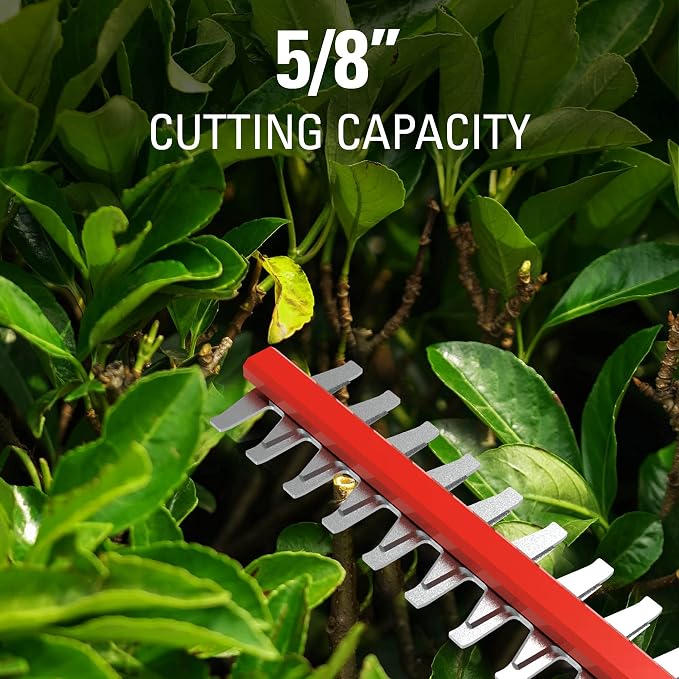 Greenworks 40V 20" Cordless Pole Hedge Trimmer and 40V 12" String Trimmer, (1) 2.0Ah Battery and Charger Included