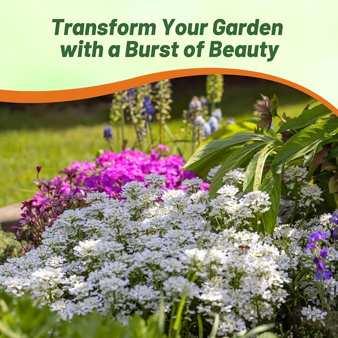 Outsidepride Wild Flower Candytuft Seeds - 5 lb. Annual Flower Seeds for Planting with Attractive Flowers, Easy to Grow & Drought Tolerant for Garden Ground Cover, Borders, & Edging