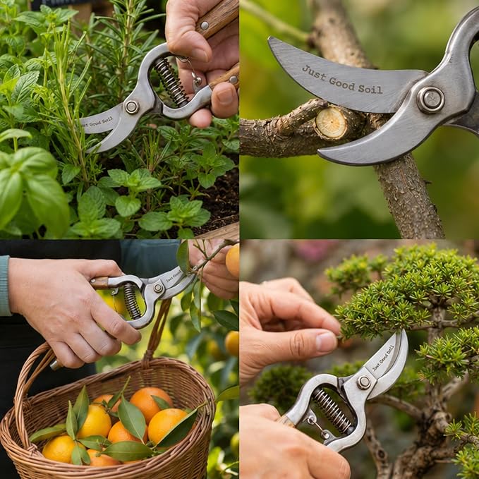 Garden Pruning Kit – Bypass Pruner and Precision Snips Set for Gardening, Plant Care, Indoor & Outdoor Plants, Rose Pruning, Garden Shears, Plant Trimming, and Floral Scissors
