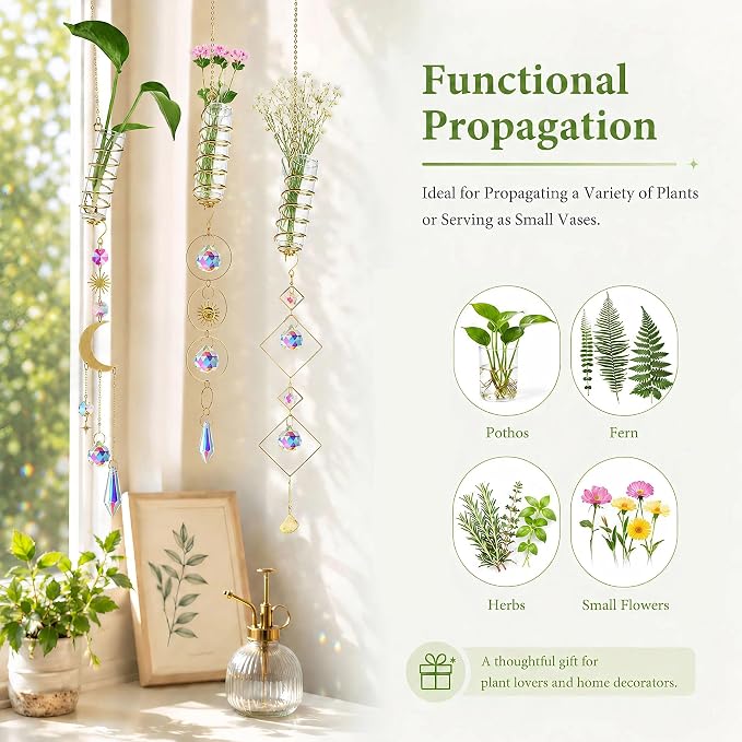 HDCRYSTALGIFTS 6Pcs Crystal Suncatchers with Propagation Stations,Glass Wall Planters for Indoor Plants Hydroponics - Propagation Tubes Jars with Sun Catchers Metal Chain for Home Whimsical Decor