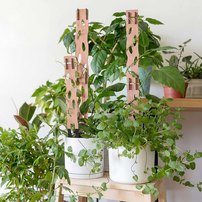 6 Sets Wooden Extendable Plants Trellis Indoor Modular Plant Trellis with Wood Thrive Sign Decor and Extensions for Outdoor Climbing Houseplants Vine Flower Stem (Classical)