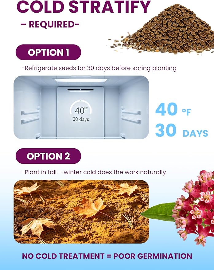 Wildflower Seeds – Monarch Cafe Milkweed Mix, 5 Heirloom Varieties 100% Native Milkweeds, 7,500+ Seeds (4oz) Covers 240-300 sq.ft., High Germination for Monarch Butterfly Garden