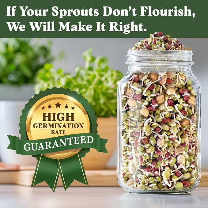 Seedboy Organic Non-GMO Sprouting Seeds, Protein Blend - USA Grown Microgreens Mix with Garbanzo, Mung Bean, Adzuki Beans, Green Pea - 8 oz Bag Makes 6 Quarts / 24 Servings (Protein Blend)