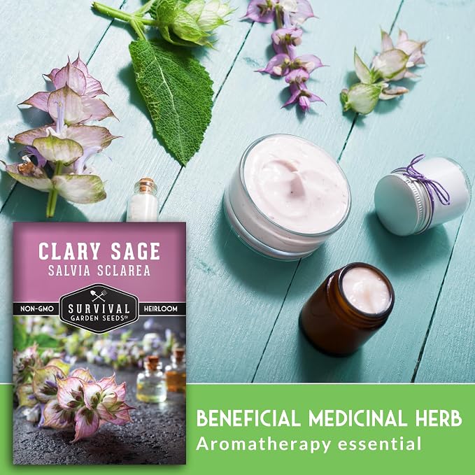 Clary Sage Seeds for Planting - Medicinal Herb for Aromatherapy & Pollinators, Fragrant Perennial Salvia Sclarea for Healing Gardens, Non-GMO Heirloom - Survival Garden Seeds (5 Packs)