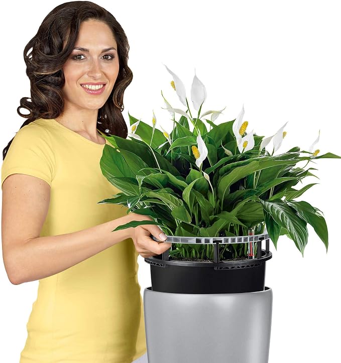 Lechuza Rondo 40 Charcoal Metallic, Self-Watering Tall Planter, D15.7 H29.5 in