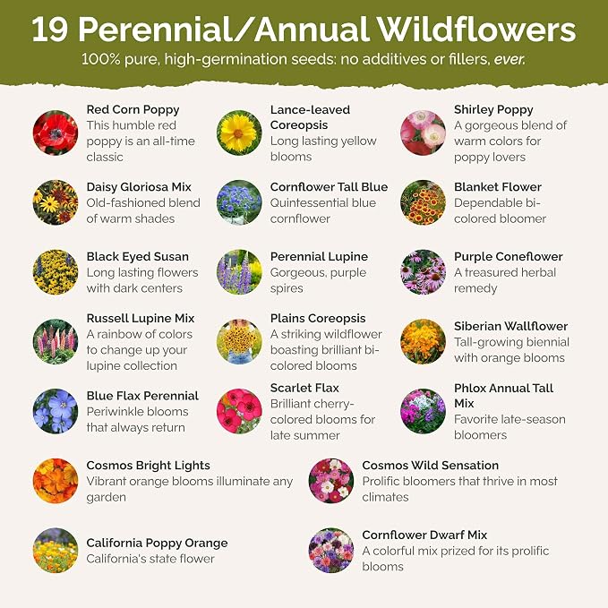 Eden Brothers Burst of Bloom Wildflower Mixed Seeds for Planting, 25 lb, 12,000,000+ Seeds with Cosmos, Black Eyed Susan | Attracts Pollinators, Plant in Spring or Fall, Zones 3, 4, 5, 6, 7, 8, 9, 10