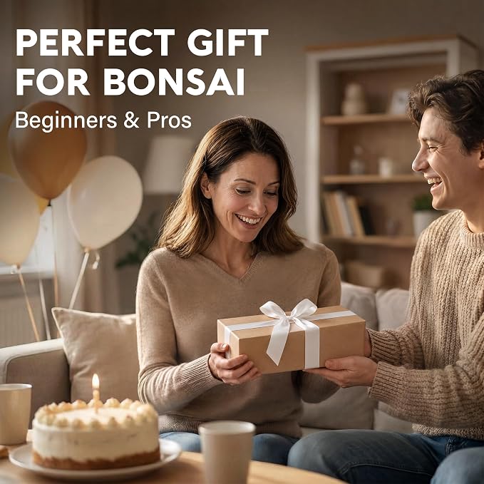 Avergo Bonsai Starter Kit – Growing Jacaranda Bonzai Tree | Complete Indoor Tree Kit for Growing Plants with Tools & Planter – Gardening Gifts for Mother, Women & Men
