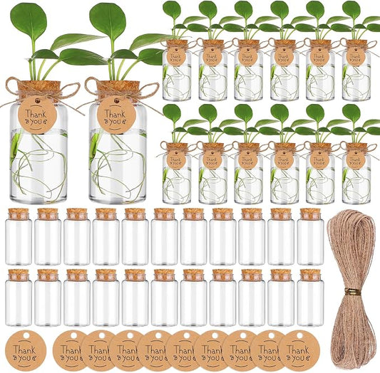 36 Packs Plant Propagation Stations with Hole Lid Clear Plastic Cultivation Bottles Tabletop Hydroponic Containers with Thank You Tags for Home Gardening Office Desktop Decoration
