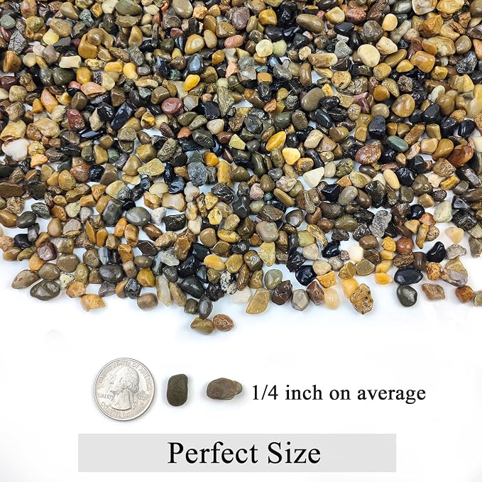 FANTIAN 20 lbs Natural Fish Tank Gravel,1/4 Inch Pea Gravel. Mixed Color River Rocks for Aquarium, Succulent, Vase, Cactus Bonsai, Plant Soil Cover and Outdoor Landscaping Rocks
