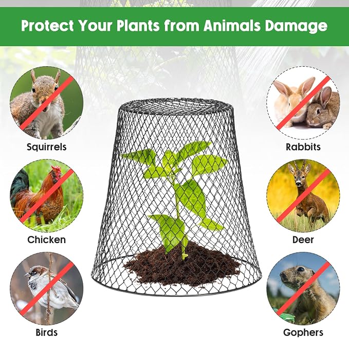 Geosar 10 Pcs 9 inch Chicken Wire Cloche Plant Protector Cover Metal Garden Cloche Dome for Plants Chicken Wire Protection Basket with Garden Stakes for Avoiding Rabbit Bird Small Animals Eat (Black)