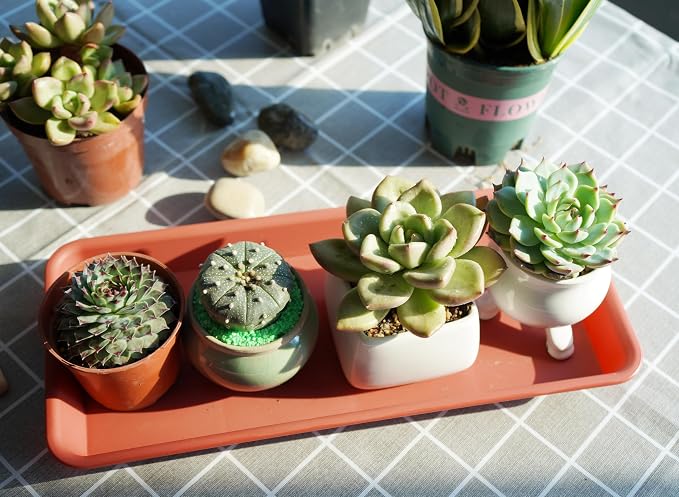 VUWEZ 2 Pack Plastic Plant Trays - Rectangular 17 18 inch, Indoor/Outdoor Plant Water Drip Trays for Flower Planters, Windowsill (7.8 x 17.5'', Terracotta)