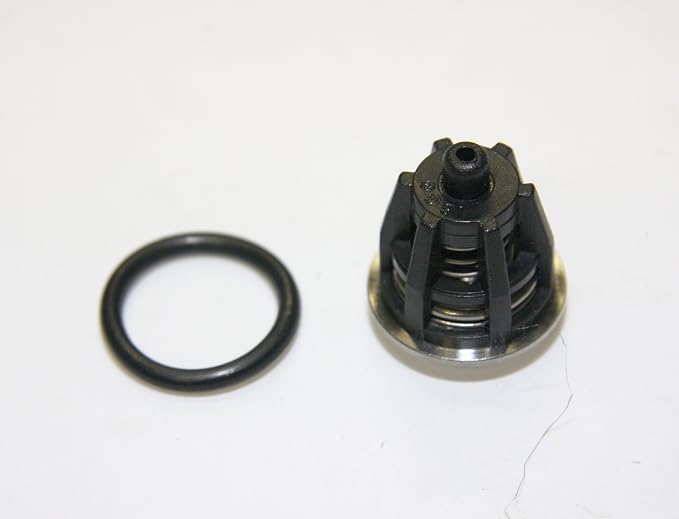 General Pump and Interpump Repair Kit 1 (Valves + O-rings)