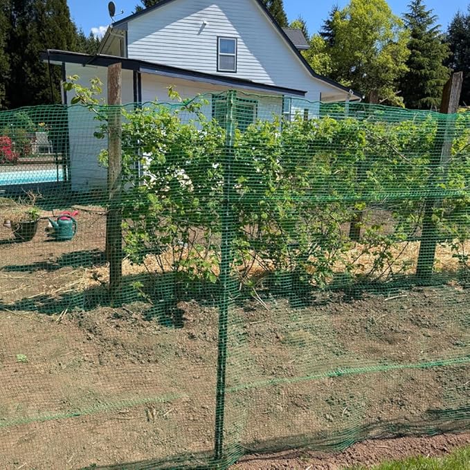 Plastic Garden Fence 5x100 FT Deer Fence Netting, Temporary Mesh Fencing Animal Barrier for Deer, Chicken, Poultry, Pet, Wildlife, Garden Bird Netting for Plant Fruit Tree Vegetable Protection
