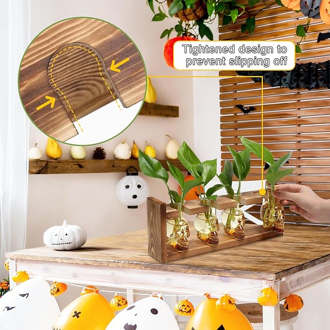 Plant Propagation Stations Halloween Skull Plant Terrarium Kit | Glass Vases Gift for Father Air Planter Home Office Decor