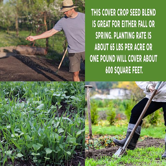 Mountain Valley Seed Co No-Till Garden Farm and Garden Cover Crop Mix Seeds | 5 Lbs - Blend of Gardening Cover Crop Seeds: Hairy Vetch, Daikon Radish, Forage Collards, Triticale, More