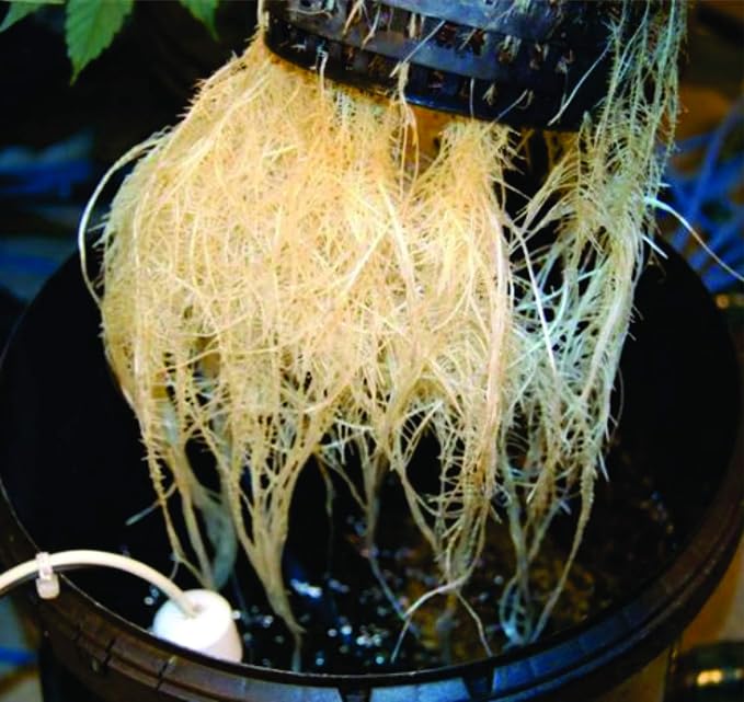 The Atwater HydroPod - Dual DWC Deep Water Culture/Recirculating Drip Hydroponic Garden System - Bubble Bucket - Hydroponic System in a Box - Choose Your Variation (DIY Kit - with Nutrients)