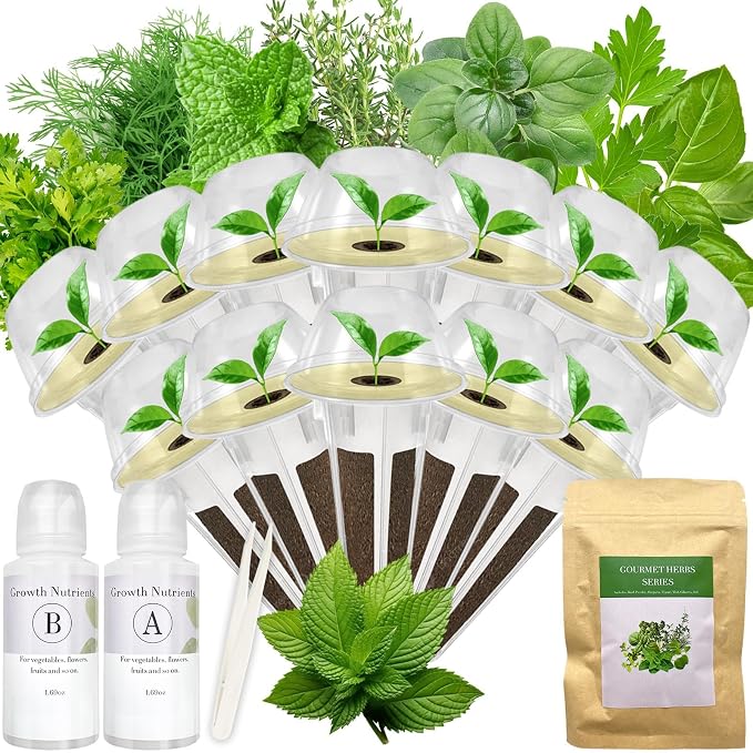 Gourmet Herb Seed Pod Kit for AeroGarden, idoo, Ahopegarden, MUFGA with Basil, Parsley, Thyme, Mint, Cilantro, Dill, Oregano - Compatible with All Hydroponics (12-Pod)