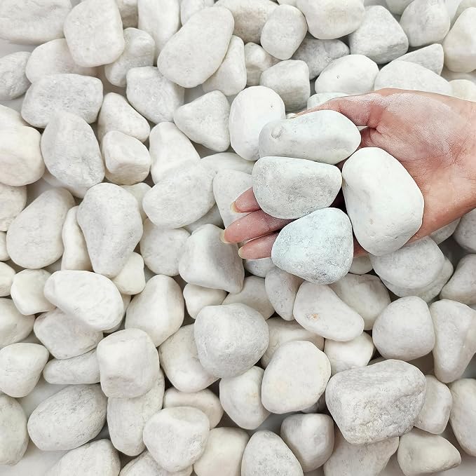 FANTIAN 20 lbs White Rocks for Landscaping, 2-3 Inch Large River Rocks. Decorative Pebbles for Plants Indoor, Vases, Aquariums Gravel, Crafting and Garden