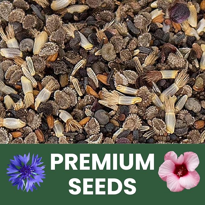 Shade Tolerant Mix – 14,000 Wildflower Seeds for Pollinator Gardens – 2026 Season – 1 Ounce Pouch
