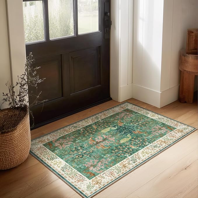 2x3 Washable Throw Rugs for Entryway: Small Area Rug Door Mat Indoor Entrance Non-Slip Low Pile Soft Kitchen Rug for Front Door Indoor Entrance Entry Bedroom Kids Room