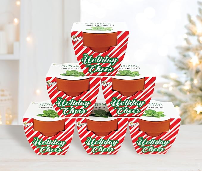 BUZZY Seeds Holiday Candy Cane Peppermint Grow Kit 6-Pack - Mini Terracotta Pot Grow Set - Complete Indoor Gardening Kit with Seeds, Coconut Husk Growing Medium & Genuine Pots - 100% Grow Guarantee