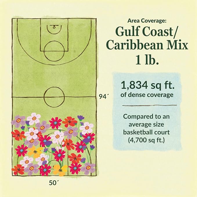 Ferry Morse Wildflower Seeds Mix - Non-GMO, Full Sun, Outdoor - Gulf Coast-Caribbean Mix - 1 lb