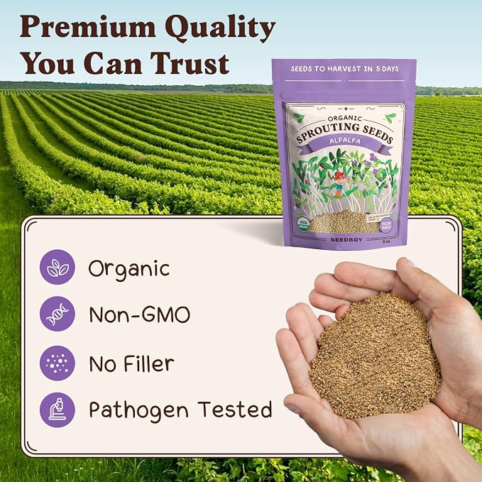 Seedboy Organic Non-GMO Alfalfa Seeds for Sprouting - Microgreens Sprouting Seeds - 8 oz Bag Makes 8 Quarts / 32 Servings (Alfalfa)