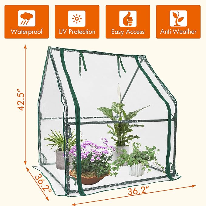 Gardzen Mini Greenhouse Heavy Duty Portable Green House, Zipper Clear Tent Small Greenhouse for Indoor Outdoor Plants 36.2”(L) x36.2”(W) x42.5”(H)