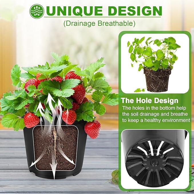6 Pack 3 Gallon Pots for Plants, 3 Gallon Plastic Nursery Pot with Drainage Holes, Sturdy Plastic Plant Pots for Nursery Garden, Flowers, Succulent Outdoor Indoor (Black, 3 Gal- 6 Pack)